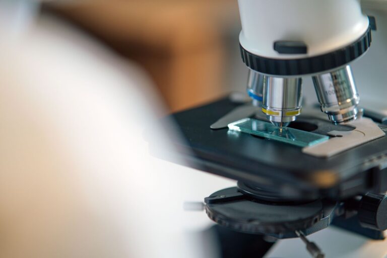 Science and the Search for Truth